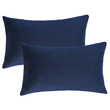 Load image into Gallery viewer, &quot;Valerie&quot; Set of 2 Velvet Lumbar Pillow Covers