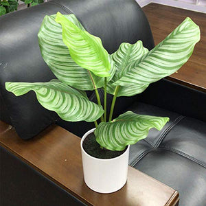 Tropical Faux Potted Plant