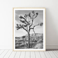 Load image into Gallery viewer, &quot;Joshua&quot;  Tree Wall Art