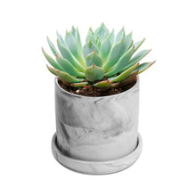 Load image into Gallery viewer, Marble Design Set of 4 Succulent Planters